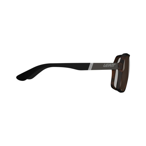 Sunglasses TheViz Andes Brown Polarized Brown/Silver 20 VLT