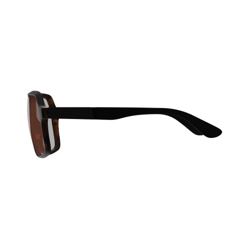 Sunglasses TheViz Andes Brown Polarized Brown/Silver 20 VLT