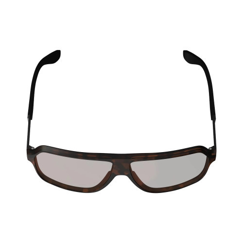 Sunglasses TheViz Andes Brown Polarized Brown/Silver 20 VLT