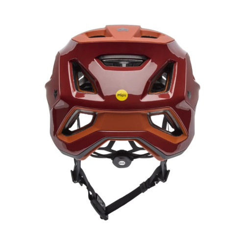 MTB-SPEEDFRAME RS PARANOID, CE [RUS]